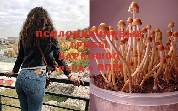 spice Касимов